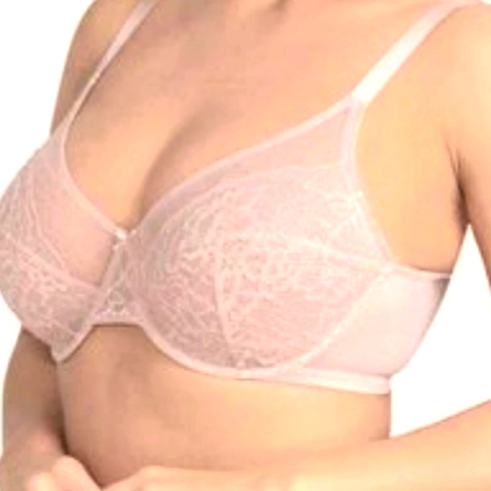 Nwt HSIA Bra Plus Size Underwire Lace Unlined Non Padded Full Coverage